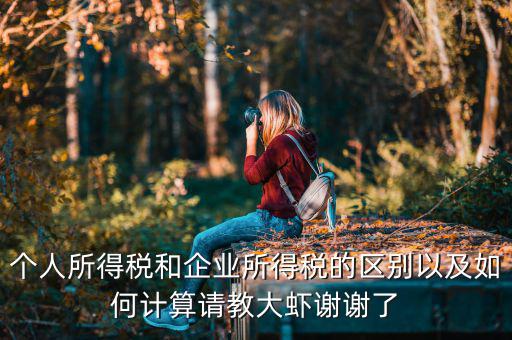 個(gè)人所得稅和企業(yè)所得稅的區(qū)別以及如何計(jì)算請教大蝦謝謝了