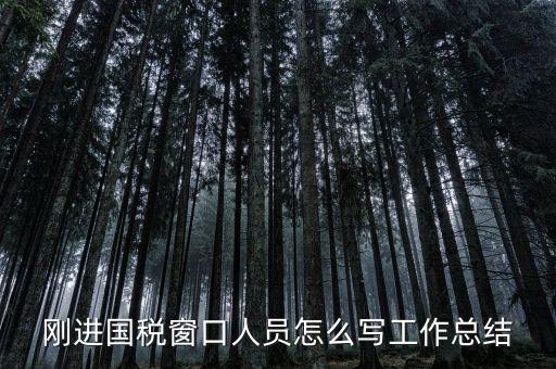 在國(guó)稅上班有什么感想，我是合同員工到國(guó)稅局上班一個(gè)月心得體會(huì)