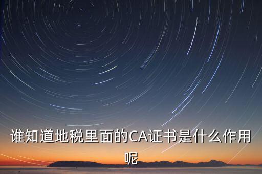 地稅安徽ca是什么意思，什么是國(guó)稅CA和地稅CA他是具體干什么用的