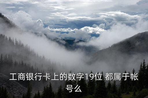 工行19位賬號(hào)應(yīng)用號(hào)是什么，請(qǐng)解釋工商銀行19位帳號(hào)的組成含義