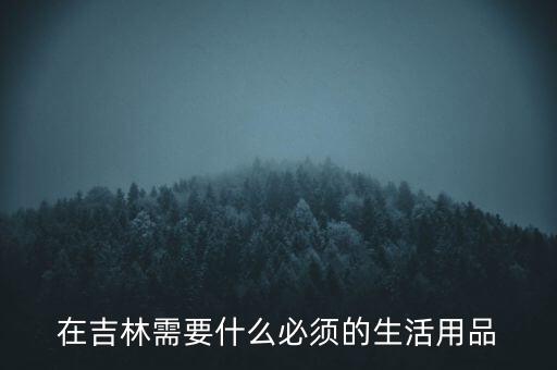 辦吉林通得帶什么，在吉林需要什么必須的生活用品