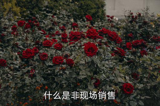 什么是非現(xiàn)場消費食品，什么是非現(xiàn)場消費的食品