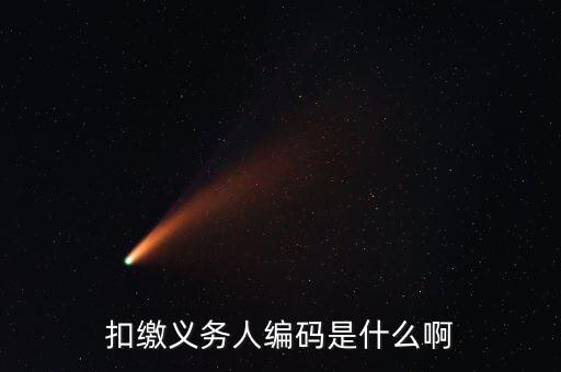 江西扣繳義務(wù)人編碼是什么，扣繳義務(wù)人編碼是什么號它和納稅人識別號是一個號嗎