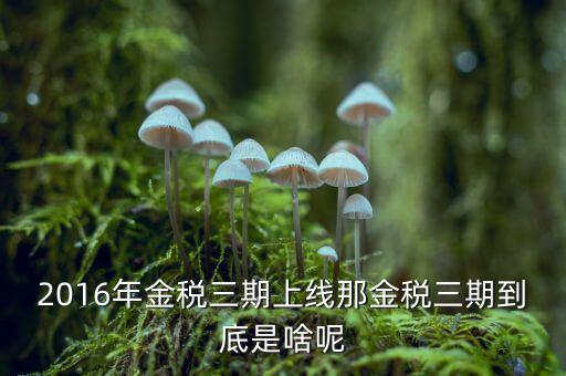 金稅三期雙軌是什么，金稅三期是什么意思
