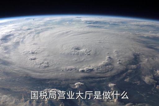 辦稅服務廳都做些什么，辦稅服務廳的基本服務包括哪些