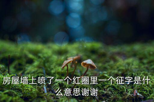 墻上印征收是什么意思，房屋墻上噴了一個紅圈里一個征字是什么意思謝謝