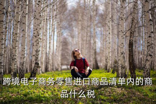 跨境電商應(yīng)交什么稅，跨境電商要繳納哪些稅