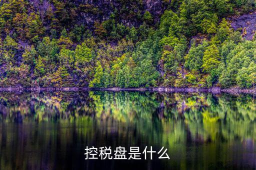 什么是金稅盤 什么是稅控盤，稅控盤的介紹