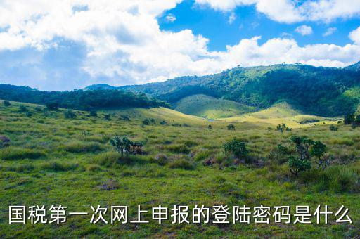 浙江國稅登入密碼是什么意思，稅務(wù)局網(wǎng)站的登入賬戶初始密碼是什么