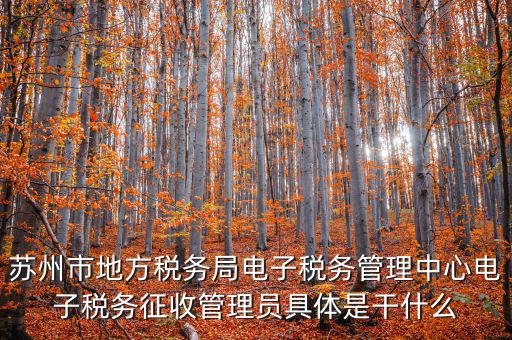 蘇州市地方稅務局電子稅務管理中心電子稅務征收管理員具體是干什么