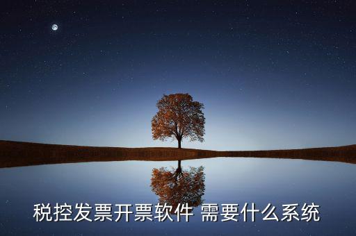 稅務開票系統(tǒng)都有什么，什么是開票系統(tǒng)小規(guī)模納稅人有裝開票系統(tǒng)嗎在線等謝謝