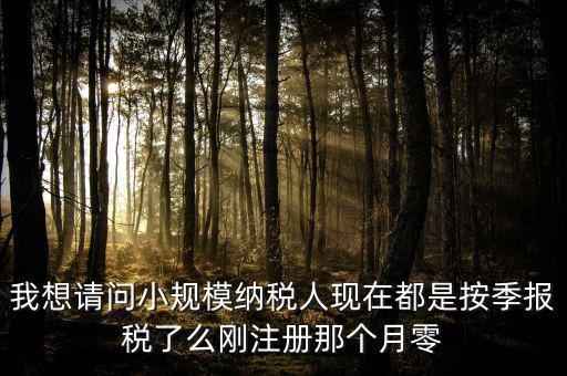 小規(guī)模什么時(shí)候零申報(bào)，增值稅小規(guī)模納稅人免稅零申報(bào)的歸屬期間