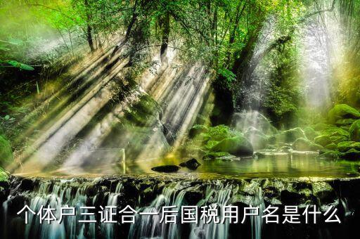 三證合一叫什么名字，個體戶三證合一后國稅用戶名是什么