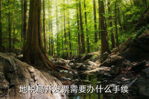 地稅局開(kāi)發(fā)票需要辦什么手續(xù)