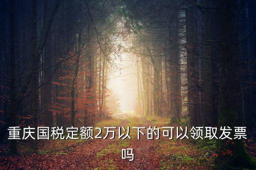 重慶用的什么定額發(fā)票，重慶國稅定額2萬以下的可以領(lǐng)取發(fā)票嗎