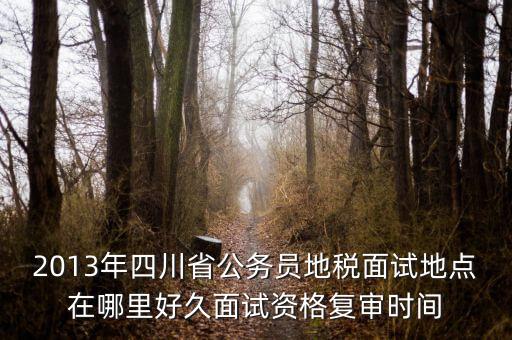 2016年四川地稅資格復(fù)審什么時候，大概什么時候資格復(fù)審啊
