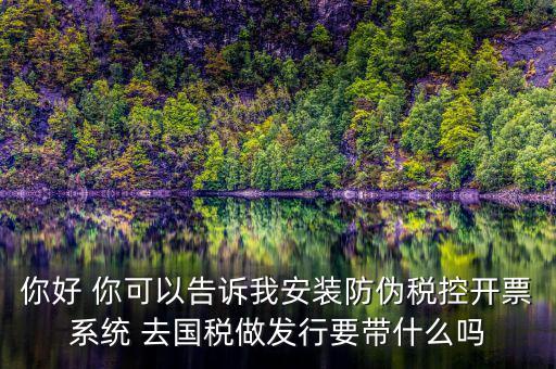 稅控發(fā)行是要做什么，稅控盤發(fā)行都呆哪些東西去稅務局需要法人去嗎