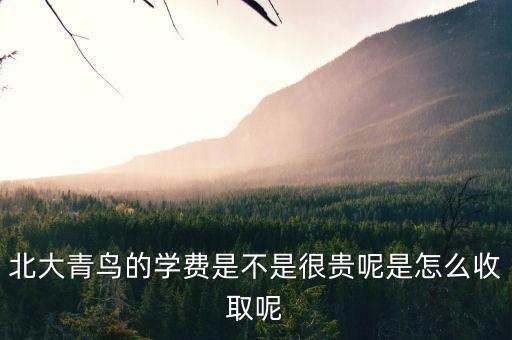 國稅局安靜工程是什么，北大青鳥的學(xué)費(fèi)是不是很貴呢是怎么收取呢