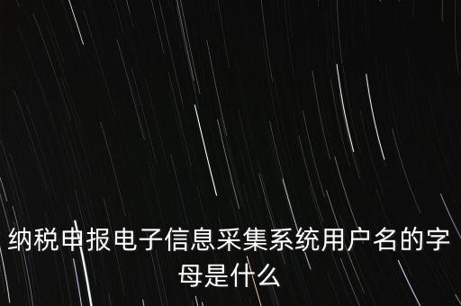 江蘇國(guó)稅電子稅務(wù)局登錄用戶名是什么意思，江蘇國(guó)稅網(wǎng)上辦稅服務(wù)廳的用戶名是什么