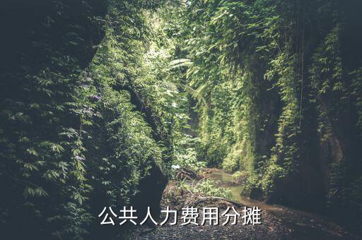 機關(guān)費用按時什么分攤，公共人力費用分攤