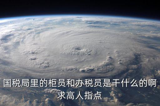 什么叫辦稅員，國稅局里的柜員和辦稅員是干什么的啊求高人指點