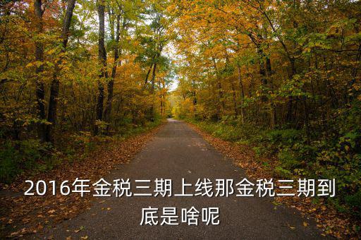 什么叫金稅三期，2016年金稅三期上線那金稅三期到底是啥呢