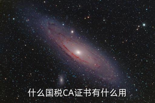 國稅ca登錄是什么，什么國稅CA證書有什么用