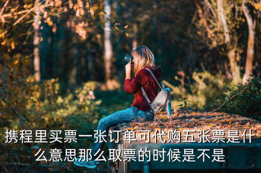 個人票代是什么意思嗎，動漫中票代的意思