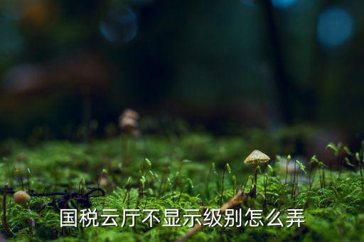 國(guó)稅云廳不顯示級(jí)別怎么弄