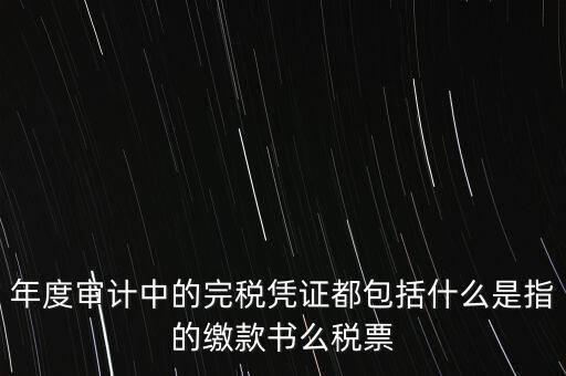 年度審計(jì)中的完稅憑證都包括什么是指的繳款書(shū)么稅票