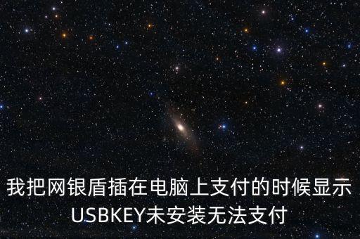 我把網(wǎng)銀盾插在電腦上支付的時(shí)候顯示USBKEY未安裝無法支付