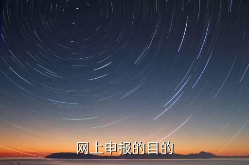 電子化辦稅什么意思，網(wǎng)上申報(bào)的目的
