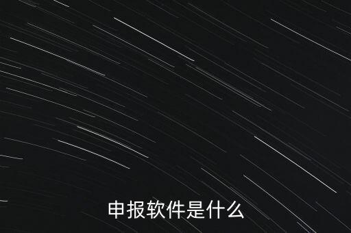 增值稅申報用什么軟件，申報軟件是什么