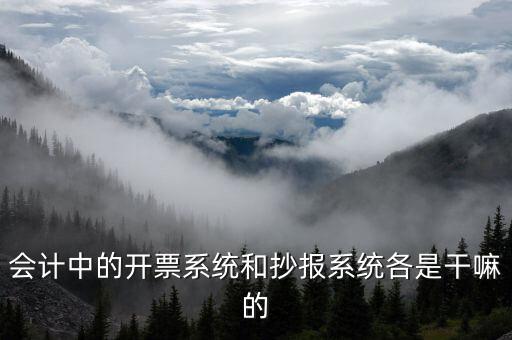 報(bào)稅開(kāi)票系統(tǒng)是什么意思，每個(gè)月一號(hào)重登金稅盤開(kāi)票系統(tǒng)是什么意思