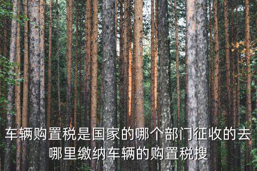 車購稅局屬于什么，車輛購置稅是國家的哪個部門征收的去哪里繳納車輛的購置稅搜