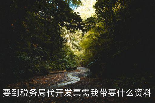 去稅務(wù)局開票需要帶什么資料，去稅務(wù)局開票的話需要帶什么材料呢