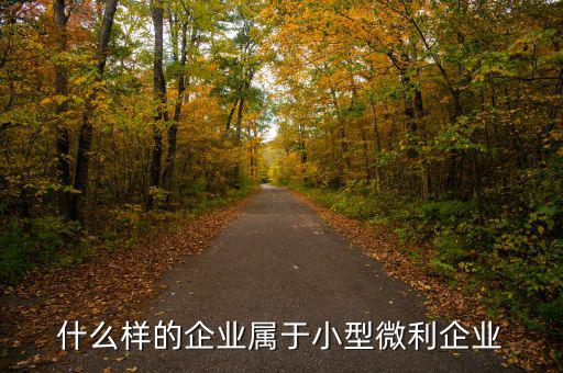 小型微利企業(yè)是什么意思，小型微利企業(yè)是怎么規(guī)定的
