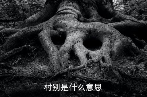 稅務(wù)所村審是什么意思，村別是什么意思