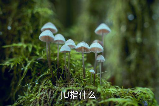 云南話ju什么意思，ju是什么意思