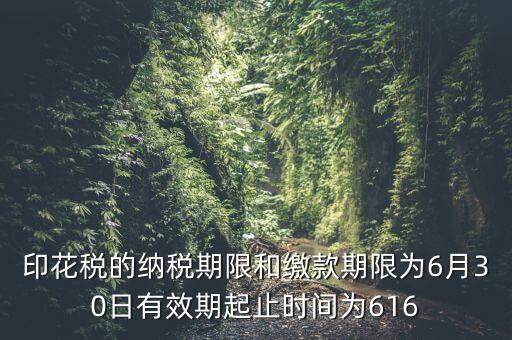 繳款期限什么意思，滯納金是什么意思