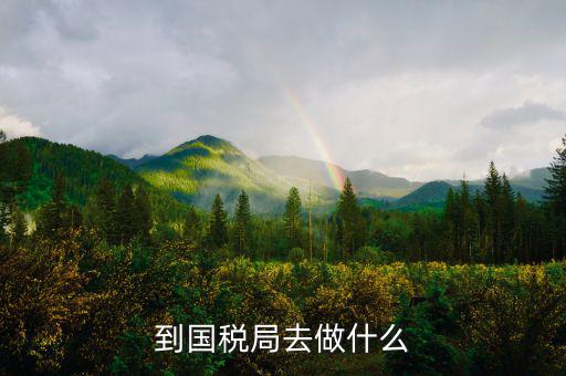 國稅局什么工作，國稅是做什么工作的