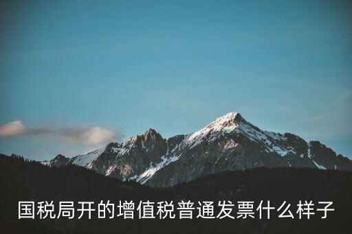 國(guó)稅局開的增值稅普通發(fā)票什么樣子