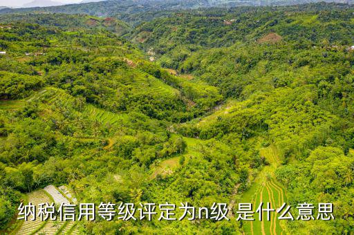 納稅信用等級(jí)b級(jí)是什么意思，納稅信用等級(jí)評(píng)定為n級(jí) 是什么意思