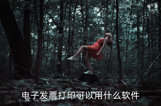 電子發(fā)票打印可以用什么軟件