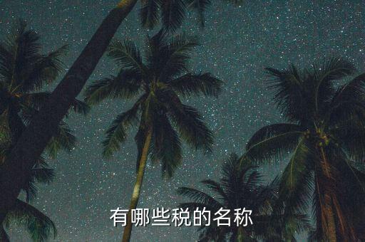 什么是稅收名稱大類，增值稅普通發(fā)票的商品名稱寫大類稅務(wù)局能通過嗎