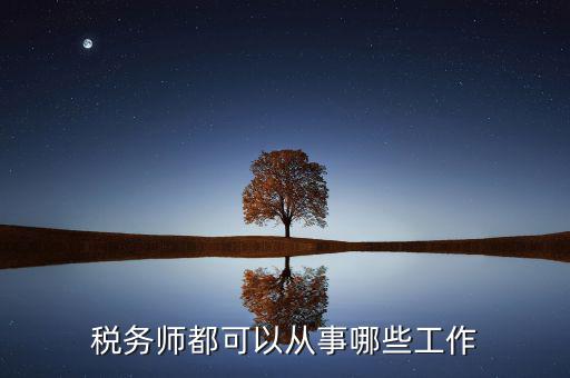 稅務(wù)師都可以從事哪些工作