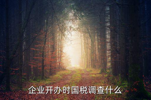 國(guó)稅稅收調(diào)查調(diào)查什么，國(guó)稅三稅調(diào)查是指哪三稅