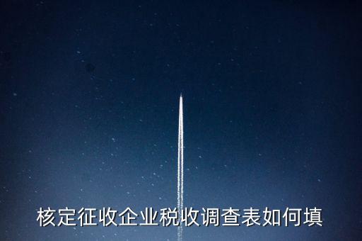 什么企業(yè)填稅收調查表，核定征收企業(yè)稅收調查表如何填
