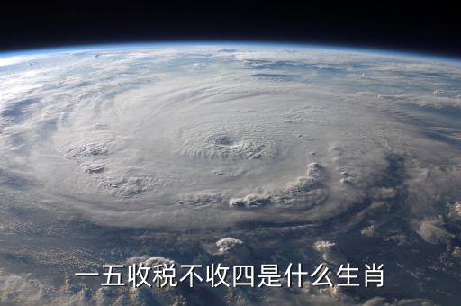 什么生肖要打稅，稅意新榮打一生肖