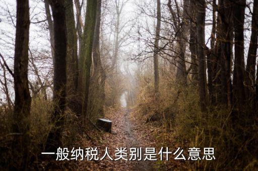 納稅人類別填什么，一般納稅人類別是什么意思